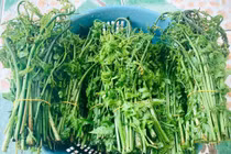 Rau dại bất ngờ hóa đặc sản 200.000 đồng/kg hút dân phố 