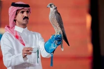 Chim ưng giá hơn 2 tỷ đồng khiến đại gia "xuống tiền"