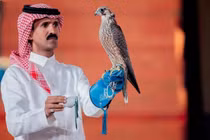 Chim ưng giá hơn 2 tỷ đồng khiến đại gia "xuống tiền"