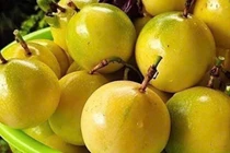 Chị em đổ xô mua chanh leo ngọt thơm như ổi