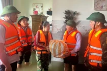 Kết luận 98 của Bộ Chính trị về khắc phục hậu quả do Bão số 12