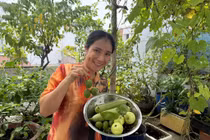 Khu vườn xanh mướt trong ngôi nhà MC Cát Tường sắp rời đi