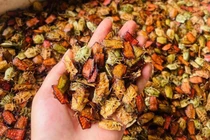 Đặc sản nhìn "khiếp vía" nửa triệu đồng/kg vẫn "cháy hàng"