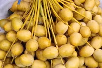 Chà là tươi nguyên cành giá “sập sàn” 69.000 đồng/kg