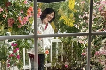 Khu vườn rực rỡ sắc hoa của nghệ sĩ Hồng Đào