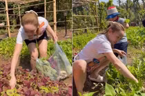 Khu vườn đủ loại rau củ và trái cây của Chi Bảo tvà vợ trẻ