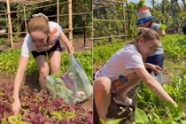 Khu vườn đủ loại rau củ và trái cây của Chi Bảo tvà vợ trẻ