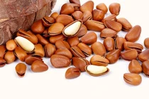 Loại hạt đắt đỏ bậc nhất thế giới, ở Việt Nam rụng đầy gốc