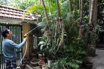 Khám phá không gian sống bình yên của cố NSND Hoàng Dũng 