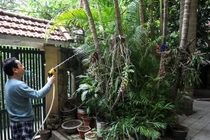 Khám phá không gian sống bình yên của cố NSND Hoàng Dũng 