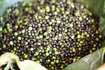 Quả dại mọc bìa rừng nay thành đặc sản 300.000 đồng/kg