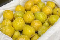 Mận cau Trung Quốc “rớt giá” chỉ 25.000 đồng/kg