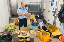 Phú Thọ triển khai cảnh báo sớm nguy cơ vi phạm pháp luật doanh nghiệp