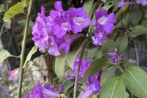 Khám phá không gian sống yên bình của NTK Đức Hùng tại Hà Nội