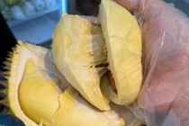 Loạn giá sầu riêng, chỗ vài chục, nơi cả trăm nghìn/kg