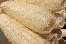 Thứ bỏ đi ở Việt Nam, gần triệu đồng/kg tại nước ngoài