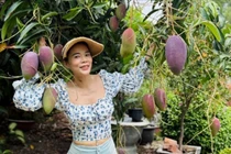 Khu vườn trĩu trịt quả giữa lòng Sài Gòn của ca sĩ Mỹ Lệ 