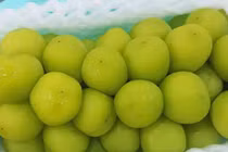 Nho sữa Trung Quốc rớt giá “chạm đáy” chỉ 15.000 đồng/kg