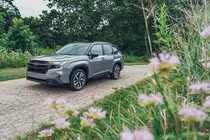Subaru Forester HEV ra mắt Việt Nam tháng 10/2026, khoảng 1,5 tỷ đồng?