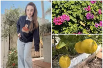 Cơ ngơi ngập sắc hoa tại Mỹ của Vy Oanh 