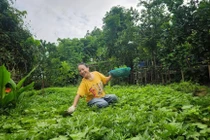Mãn nhãn khu vườn ngập rau trái của diễn viên Tú Oanh