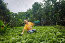 Mãn nhãn khu vườn ngập rau trái của diễn viên Tú Oanh