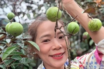  Vườn cây sum suê trái của ca sĩ Mỹ Lệ 