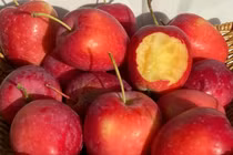 Táo cherry gây sốt chợ Việt đắt cỡ nào?