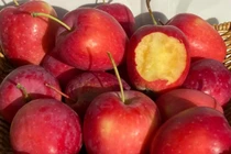 Táo cherry gây sốt chợ Việt đắt cỡ nào?