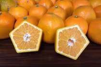 Kỳ lạ giống cam ngũ giác 700.000 đồng/kg