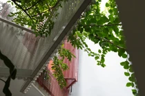 Nhà phố tối ưu hóa không gian tại TP HCM