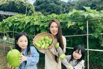 Cận cảnh nông trại nghìn mét vuông ở Đà Lạt của Lý Hải - Minh Hà