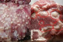 5 loại thịt lợn "rẻ như cho" cũng tránh xa