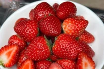 Dâu tây 'nhuộm đỏ' chợ Hà Nội, giá rẻ chưa từng có