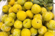 Mận cau Trung Quốc 450.000 đồng/kg, khách tranh nhau mua