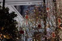 Biệt thự mới đón Tết của vợ chồng Thành Chung 