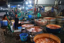 Chợ cá Yên Sở tấp nập mua bán cá chép đỏ trước Tết ông Công ông Táo