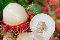 Giá nhiều loại trái cây giảm sâu