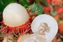 Giá nhiều loại trái cây giảm sâu