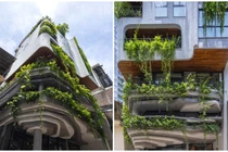 Ngôi nhà 8 tầng xanh độc đáo giữa trung tâm Hà Nội