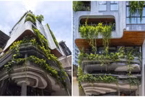 Ngôi nhà 8 tầng xanh độc đáo giữa trung tâm Hà Nội