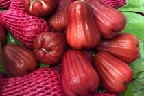 Mận An Phước khan hàng, giá bán lẻ lên tới 55.000 đồng/kg