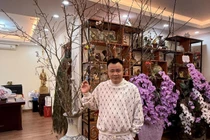 Căn nhà ngập sắc hoa của NSND Tự Long dịp Tết Bính Ngọ 2026