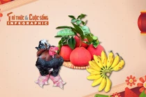 [INFOGRAPHIC] Những đặc sản tiến vua hút khách dịp Tết