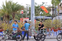 Nghề chở cây Tết sôi động, thu nhập tiền triệu mỗi ngày dịp Tết 