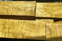 Cận cảnh loại "gỗ hoàng đế" giá trị gấp 8.000 lần thông thường
