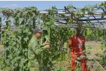 Trang trại 14ha của Quang Linh Vlog bị cảnh sát kiểm tra