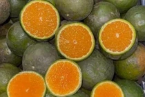 Cam sành siêu rẻ chỉ vài nghìn đồng/kg bán đầy chợ