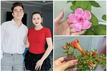 Khu vườn rực sắc hoa của "nhạc sĩ giàu nhất Việt Nam"