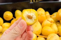 Chà là Thái Lan giá rẻ gây sốt thị trường Việt